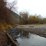 DSC05295