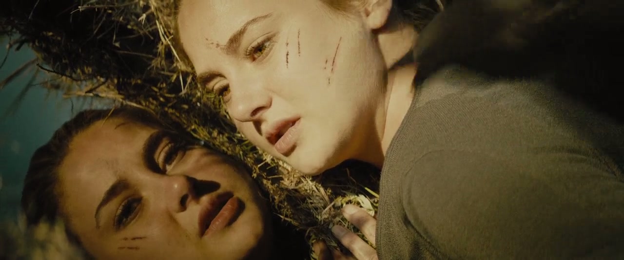 Divergent Screenshot