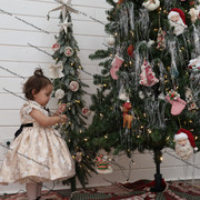 IMG 4375