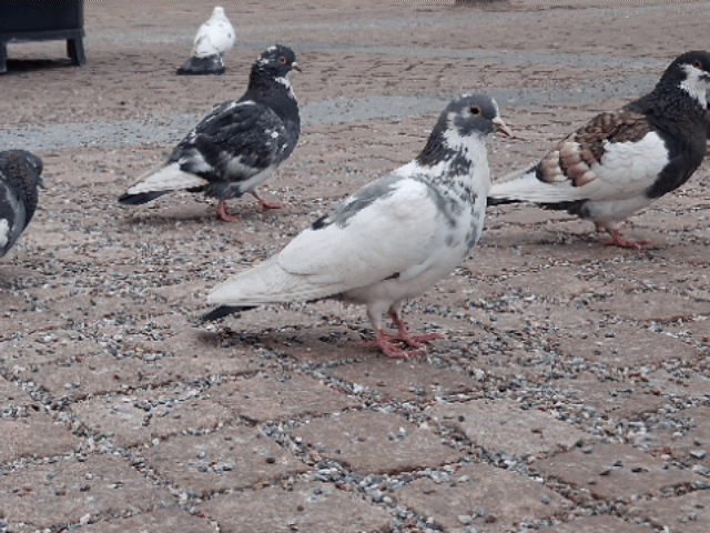 20230430-233746.gif