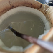 IMG 4702