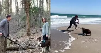 Sword-Wielding Canine Sensation Born from Playful Skits