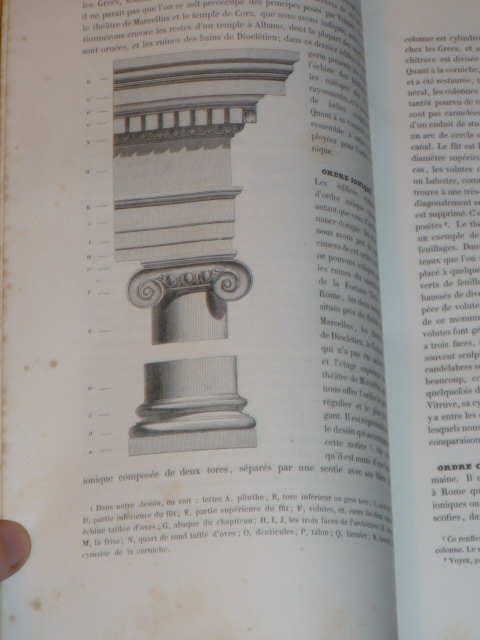 P1030164.jpg