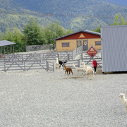 DSC7211