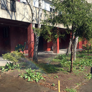 IMG-5034