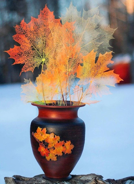 Чайная беседка