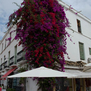 Marbella-12