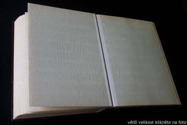 IMG-6944.jpg
