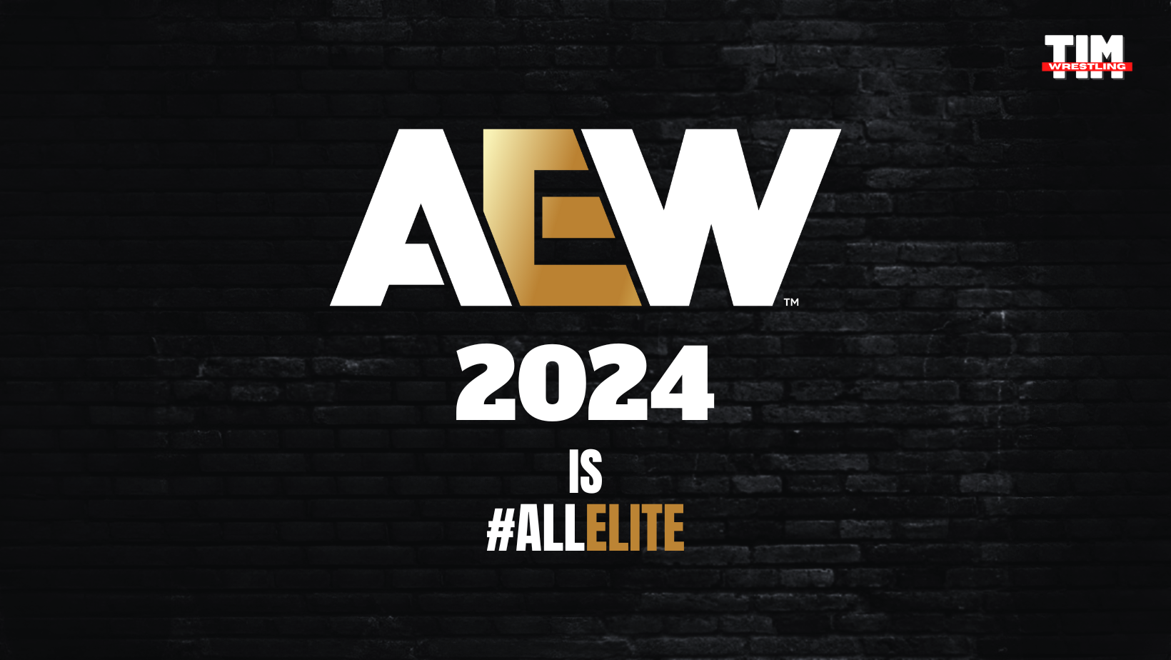 Fichajes de AEW en el 2024