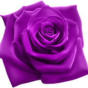 Purple-PNG-Picture