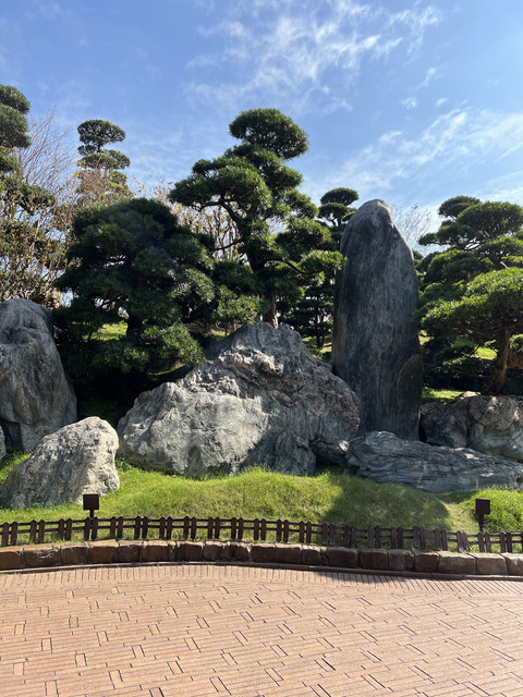 IMG-4576