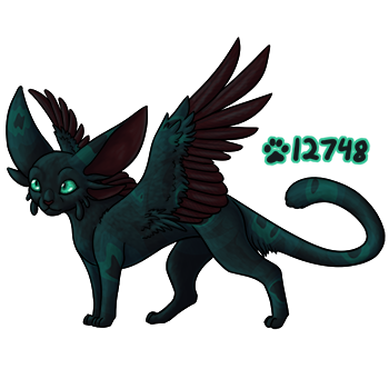 Pet Image