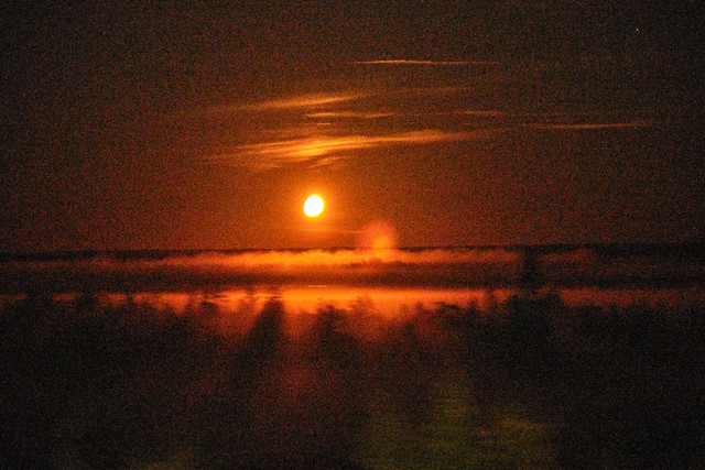 DSCF4251.jpg