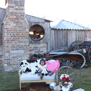 IMG-6280