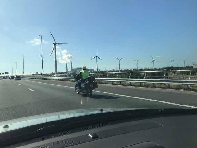 IMG 1550