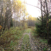 DSC00199