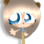 little-racoon