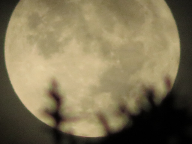 moon-041.jpg