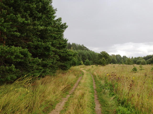 IMG-4043.jpg