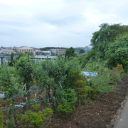 P1350319