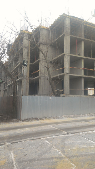 IMAG0083.jpg