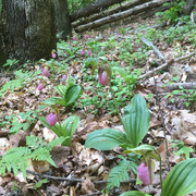 IMG-1504small