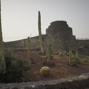 DSC00894