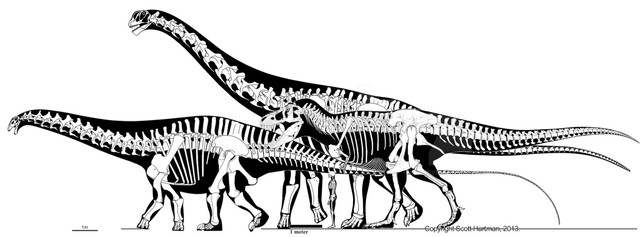 Brontosaurus-vs-T-Rex-Cama