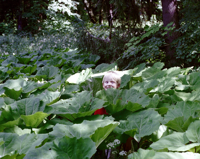 Scan-120813-0036.jpg