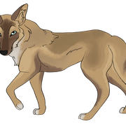 yote-2