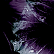 001-6
