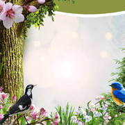 Nature-Spring-1