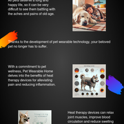 Guide To Wearable Heat Therapy For Senior Pets: How To Keep Dogs &amp; Cats Warm 
