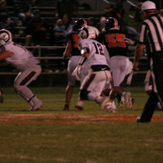 IMG-7392