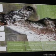 IMG-7722