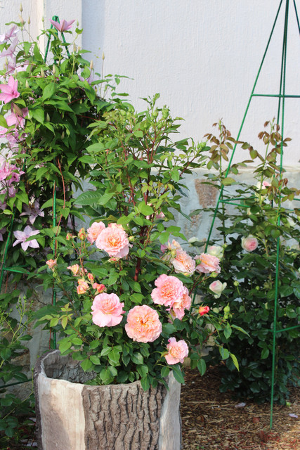 IMG-5680