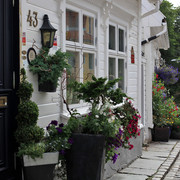 IMG-2146-edit