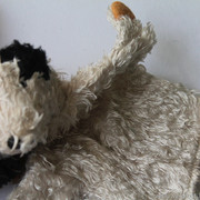 IMG-6734