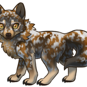 Wolvden-Adopt-Ylva-fullsize