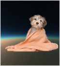 Picture2.png