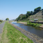 DSC-0049