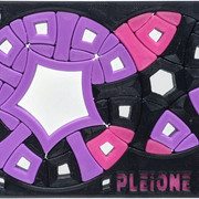 Pleione56-3