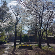 IMG-20240407-134402