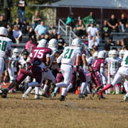 IMG-8061
