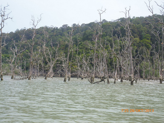P1000895-1