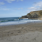 DSCF6751