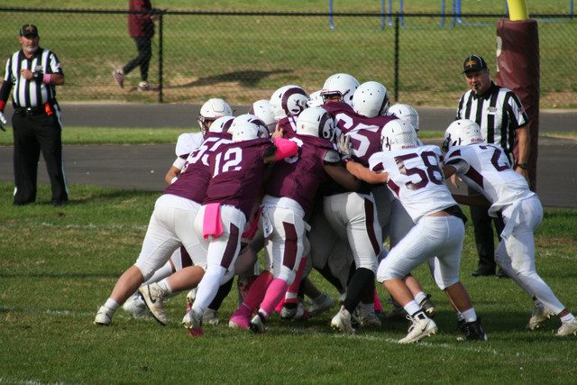 IMG-0488.jpg