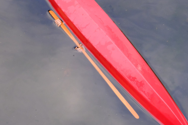 DSCF4911.jpg