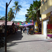 P1100537