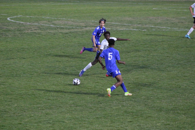 IMG-0179.jpg